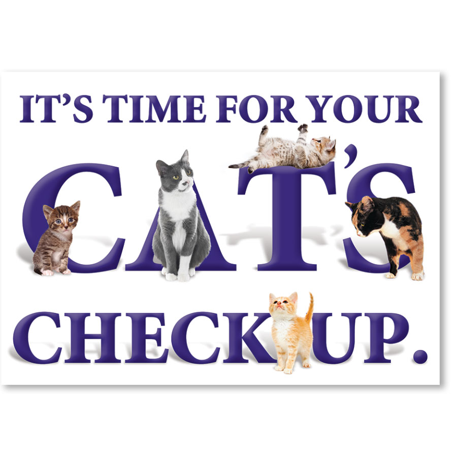 Standard Veterinary Reminder Postcards Cat's Checkup