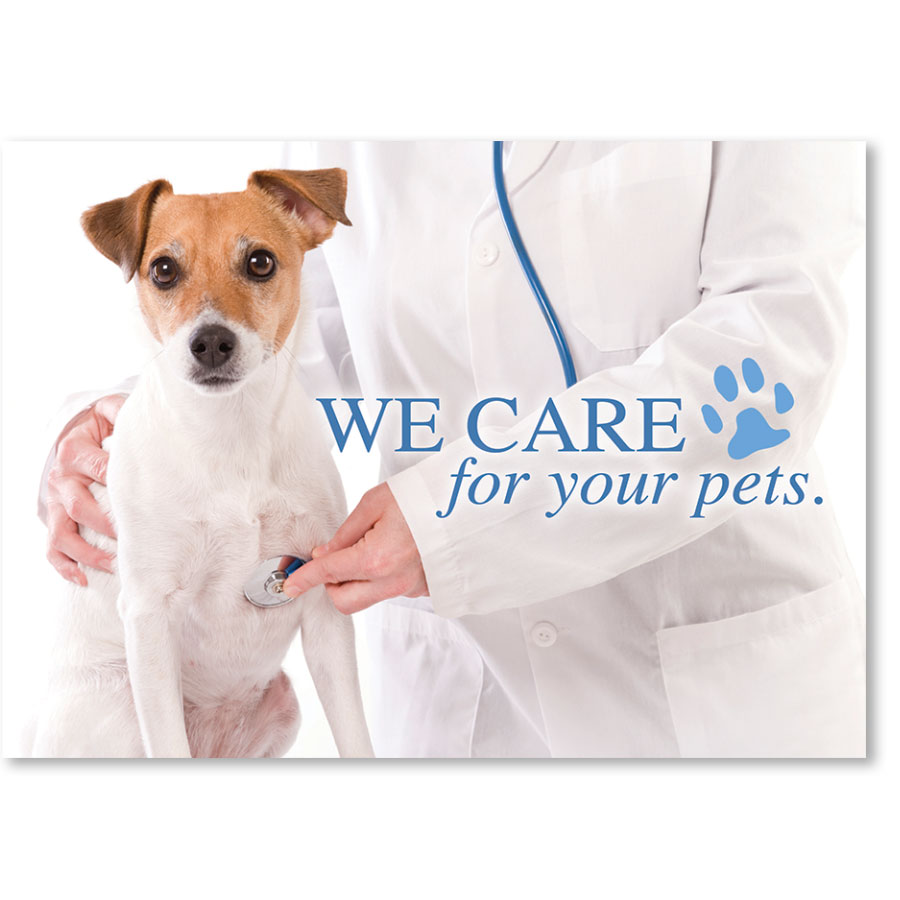 Standard Veterinary Reminder Postcards Jackie's Checkup Veterinary
