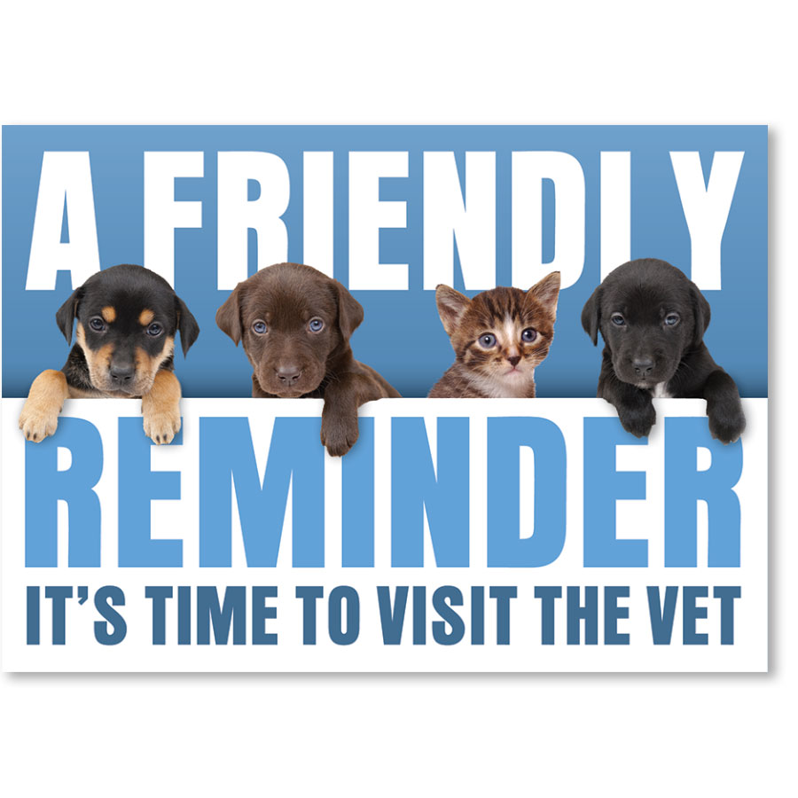 Standard Veterinary Reminder Postcards Reminder Quartet