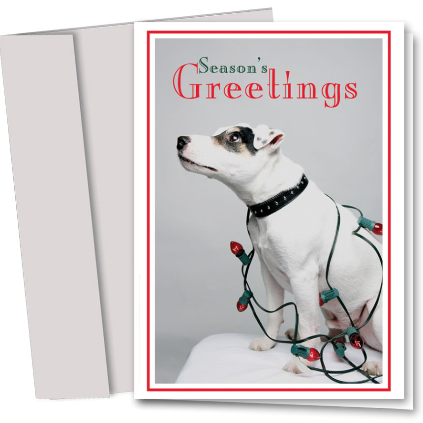 Veterinary Christmas Cards 