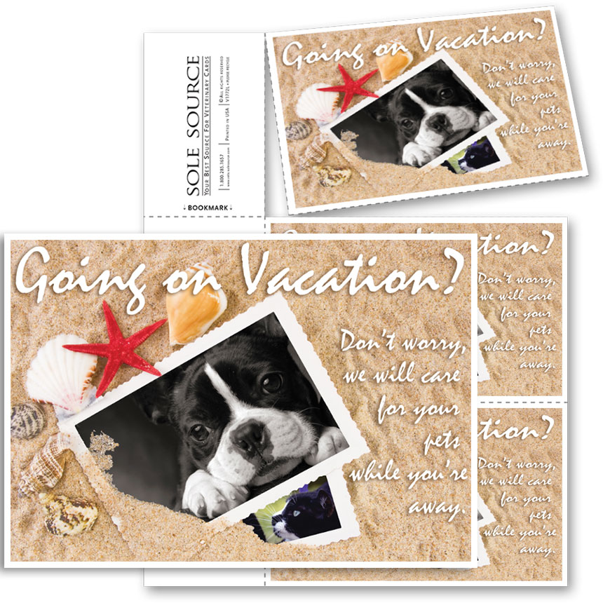 3Up Veterinary Postcards Going on Vacation? Veterinary Supplies