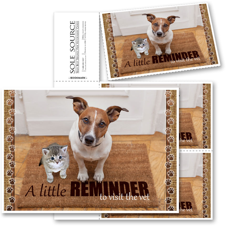 3Up Veterinary Postcards Reminder Doormat Veterinary Supplies