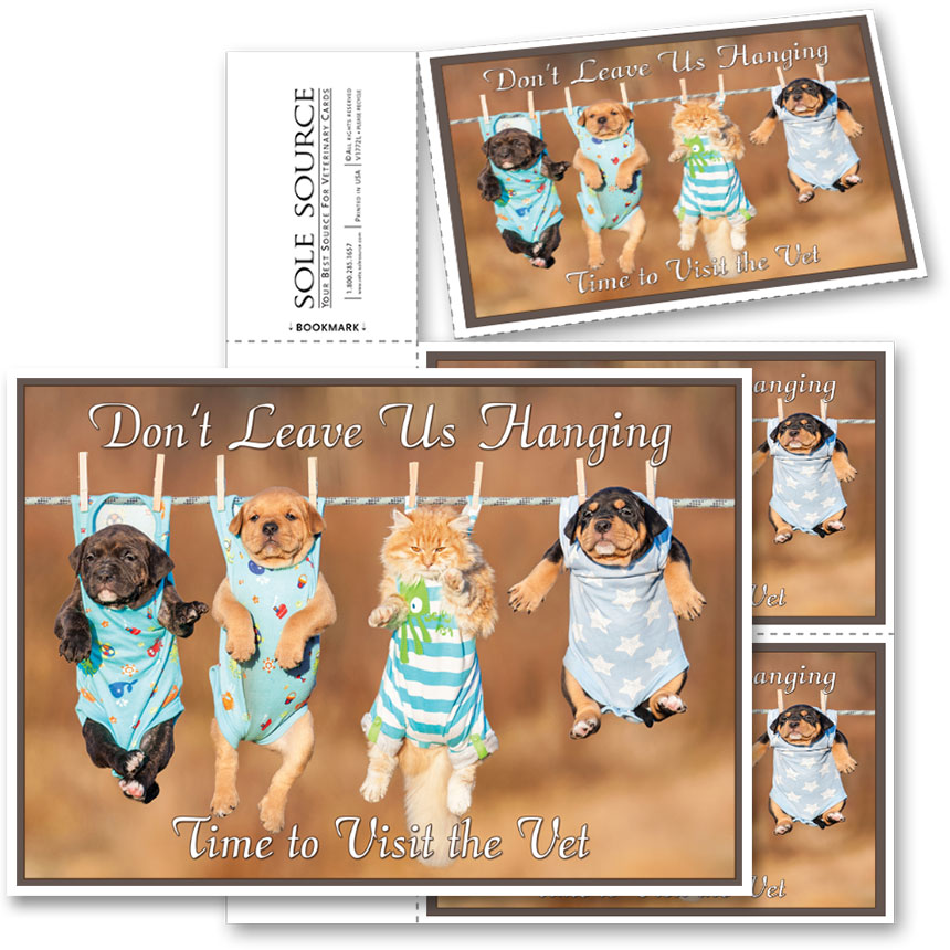 3Up Laser Veterinary Postcards Clothesline, Reminders Sole Source