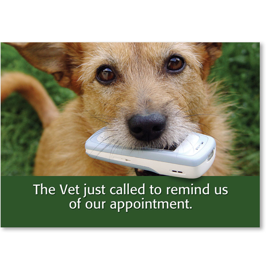 Standard Veterinary Reminder Postcards Vet Called