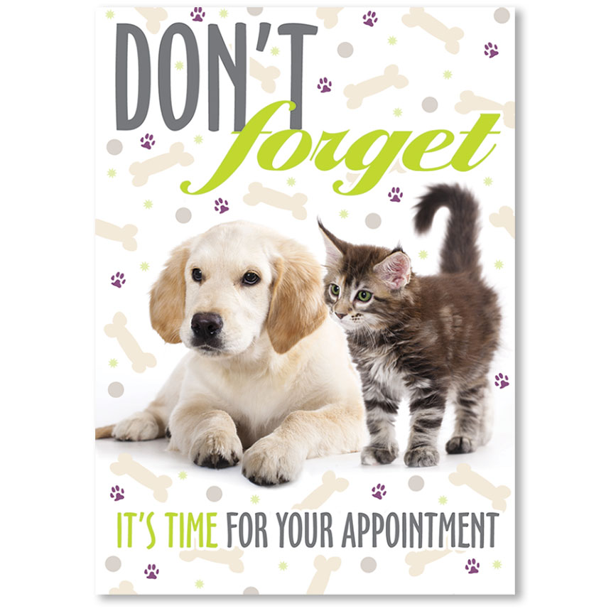 Standard Veterinary Reminder Postcards Lime and Plum Veterinary