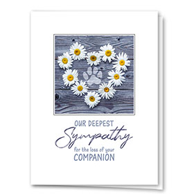 Pet Sympathy Cards - Sweet Companion