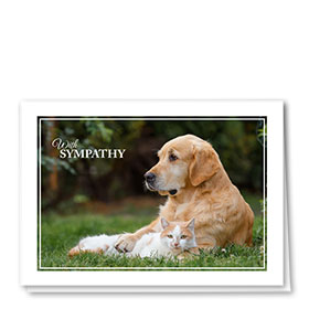 Pet Sympathy Cards - Classic Sympathy