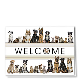 Veterinary Welcome Cards - Welcome Stripes