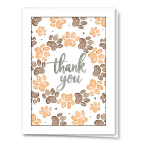 Veterinary Thank You Cards - Thank You Prints