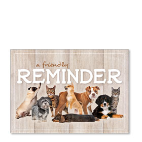 Standard Veterinary Postcards - Reminder Pack