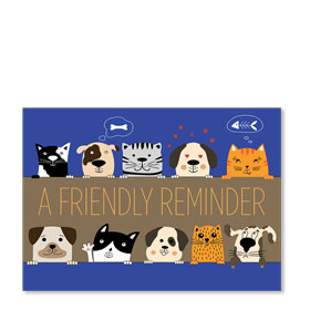 Standard Veterinary Postcards - Reminder Friends