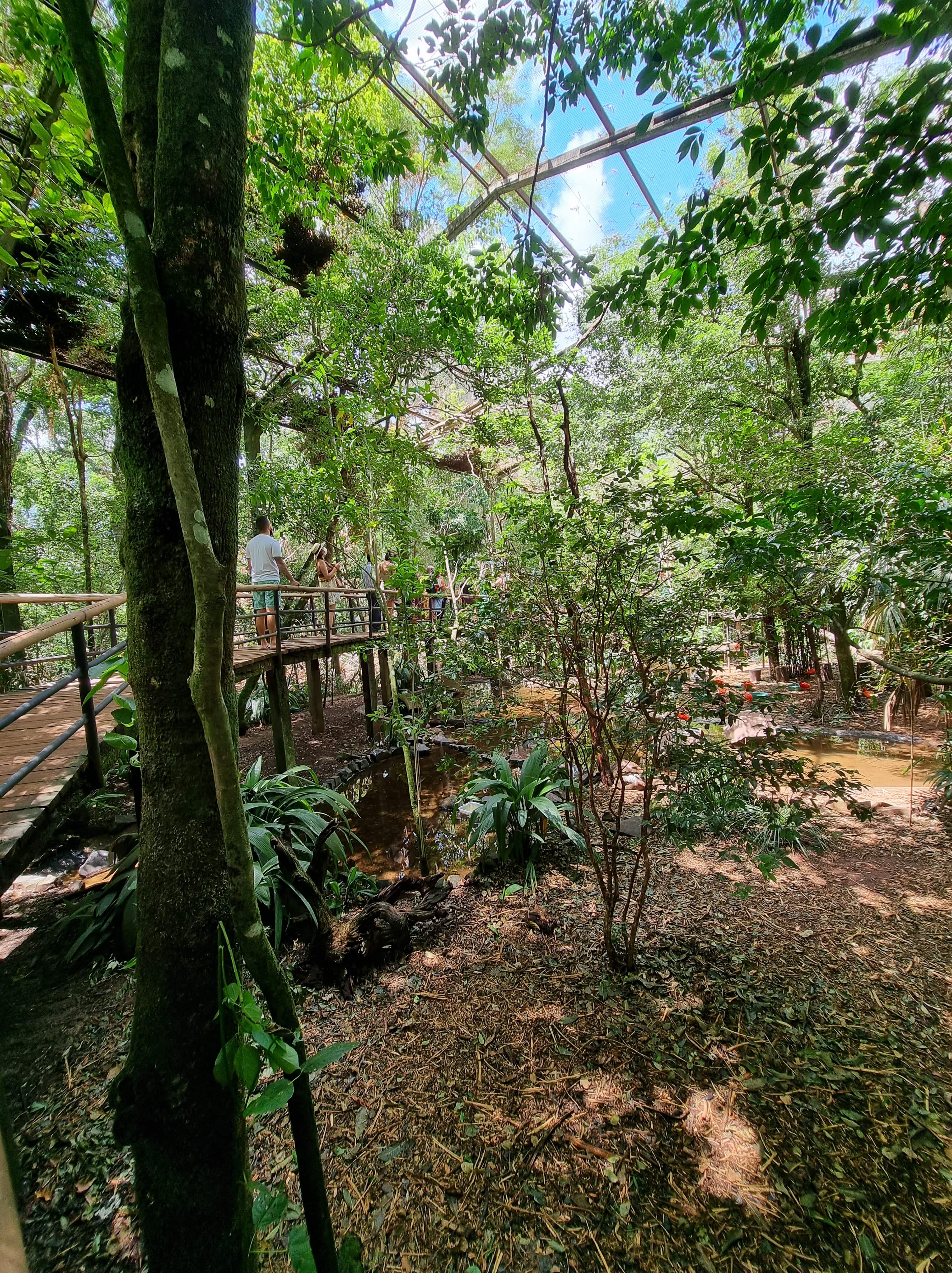 ponte-parque-das-aves.jpg ponte-parque-das-aves.jpg