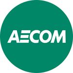 Consulting Services Intern 