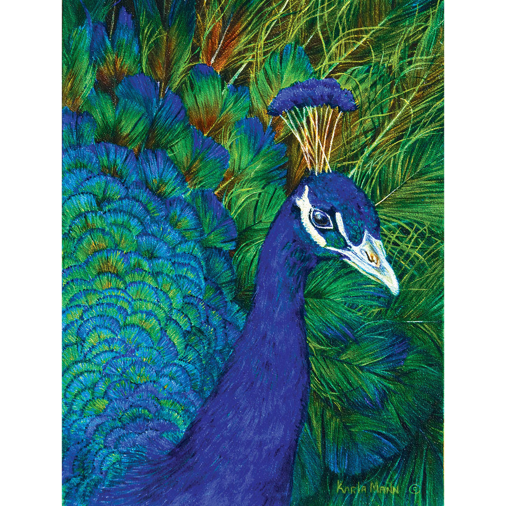 Peacock 1000 Piece Jigsaw Puzzle Spilsbury