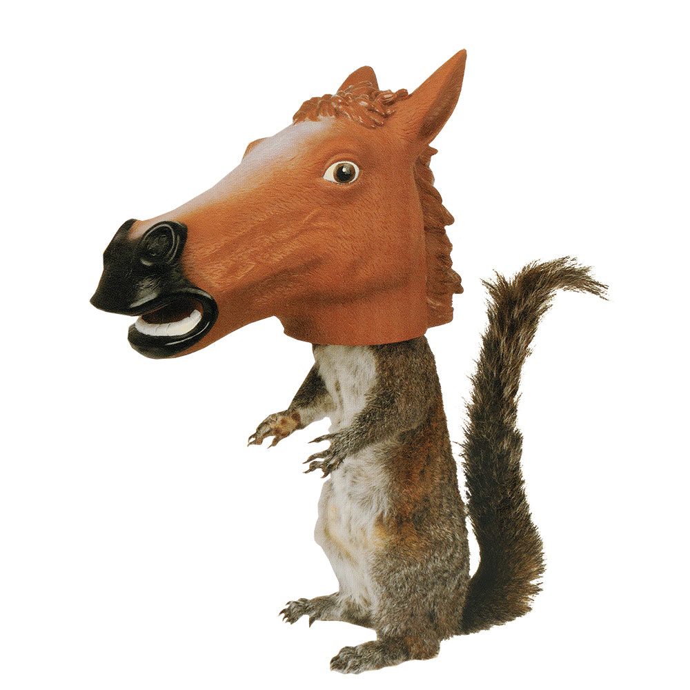 Horse Head Squirrel Feeder Spilsbury