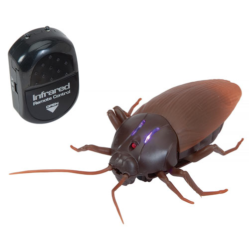 Giant Remote Control Roach Spilsbury