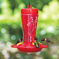 Mini High Perch Hummingbird Feeder At Spring Hill Nurseries