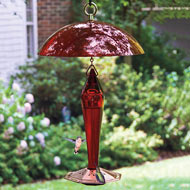 Mini High Perch Hummingbird Feeder At Spring Hill Nurseries