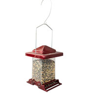 Squngee Squirrel Feeder Spring Hill Nurseries