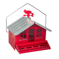 Squngee Squirrel Feeder Spring Hill Nurseries