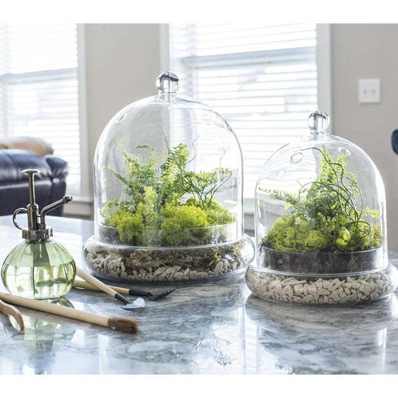 Terrarium Tool Kit 4 Piece Set Spring Hill Nurseries