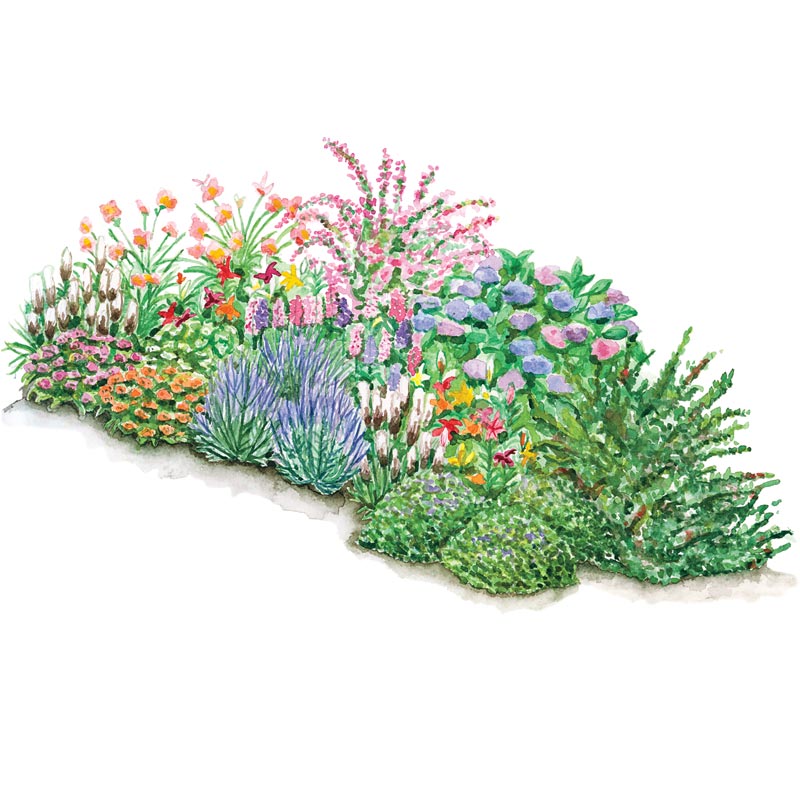 Three Seasons Of Beauty Garden At Spring Hill Nurseries