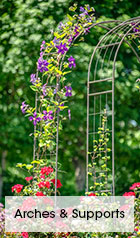 Arches & Supports