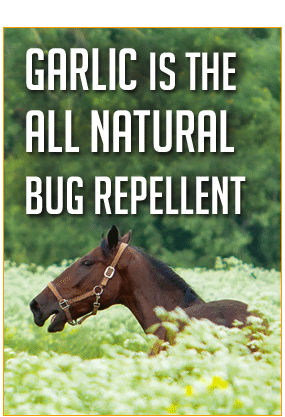 No poisons. No chemicals. No bugs!
