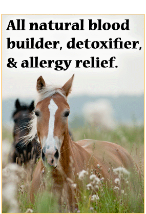 A natural blood builder, detoxifier & allergy-relief.
