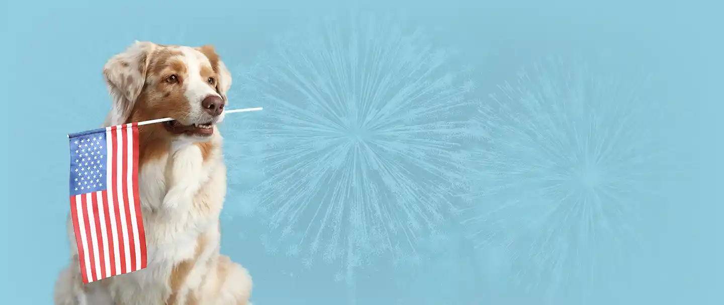 4th of July Sale
