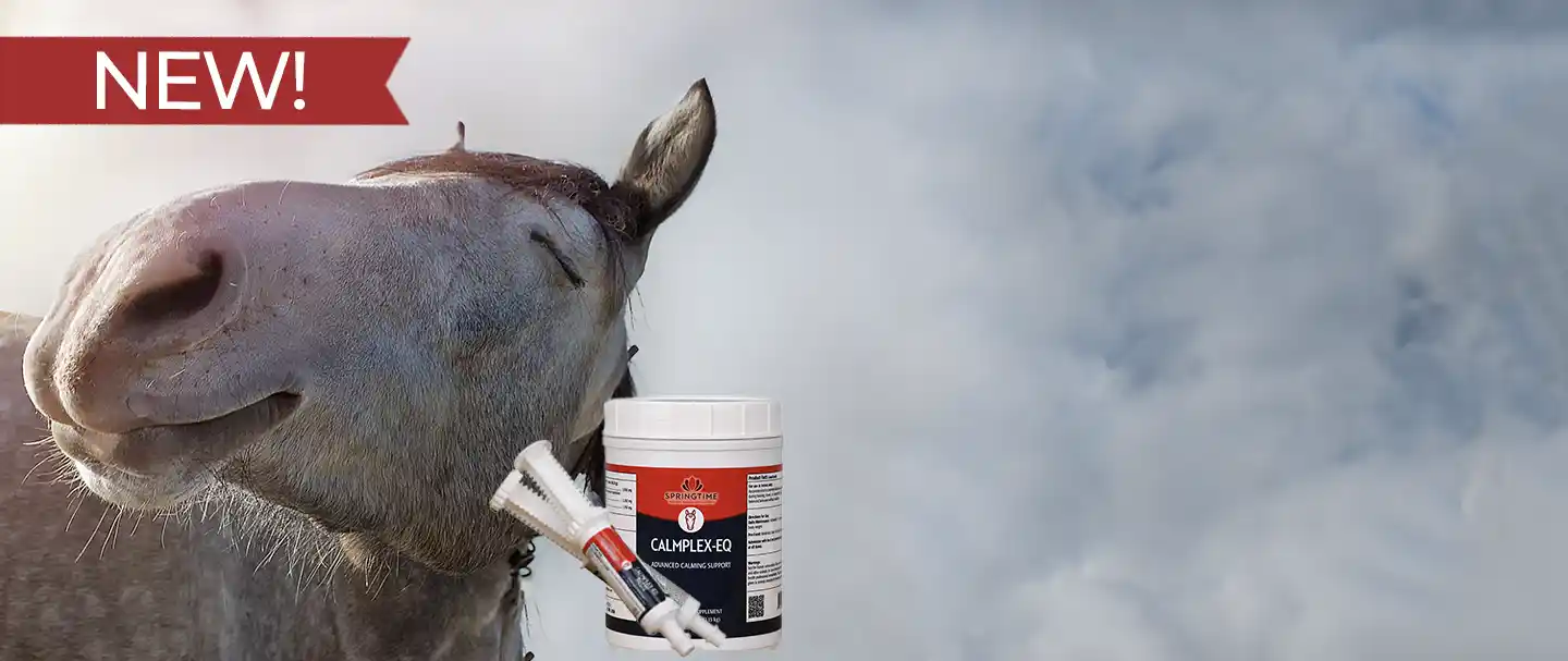 New Calmplex-EQ Supplement for Horses