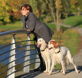  Landing Page Boswellia Sale 2013B