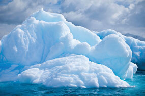  Landing Bee Pollen Sale 2013 Intro B2