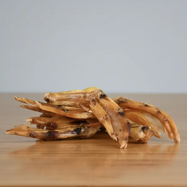 Duck Feet