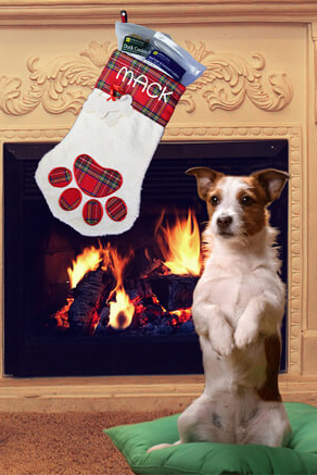  Testimonial Treat Christmas Stocking 