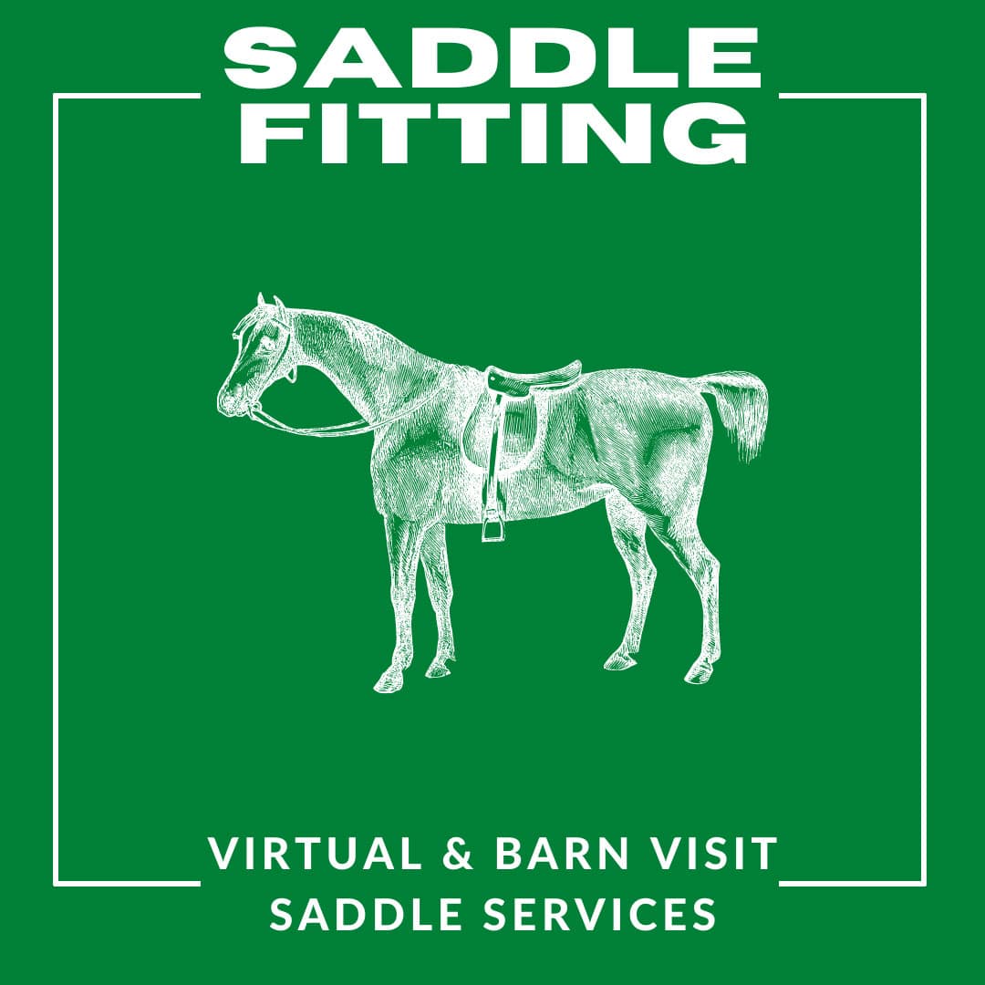 Strafford Saddlery High Quality English Horse Tack and Riding Apparel