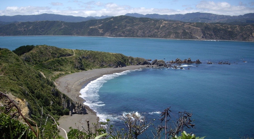 Wellington