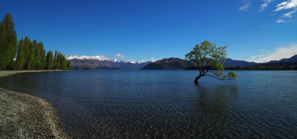 Otago