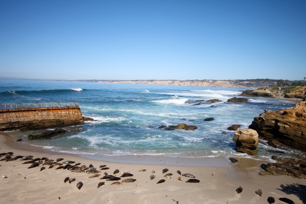 Beaches in San Diego, California Swim Guide