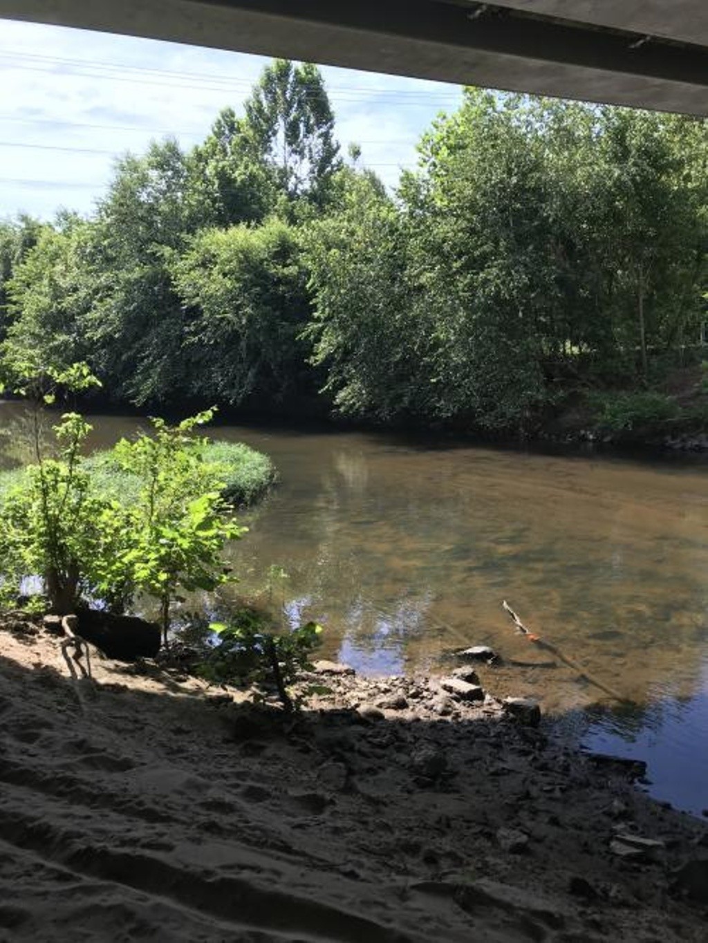 Farmville Main St. Bridge