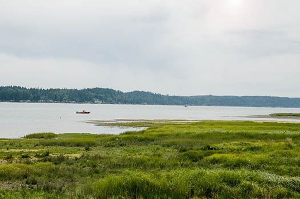 Belfair State Park