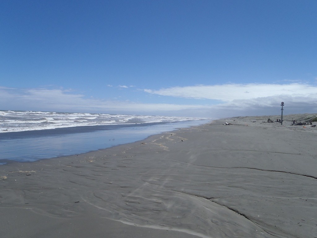Foxton Beach at Tasman Sea