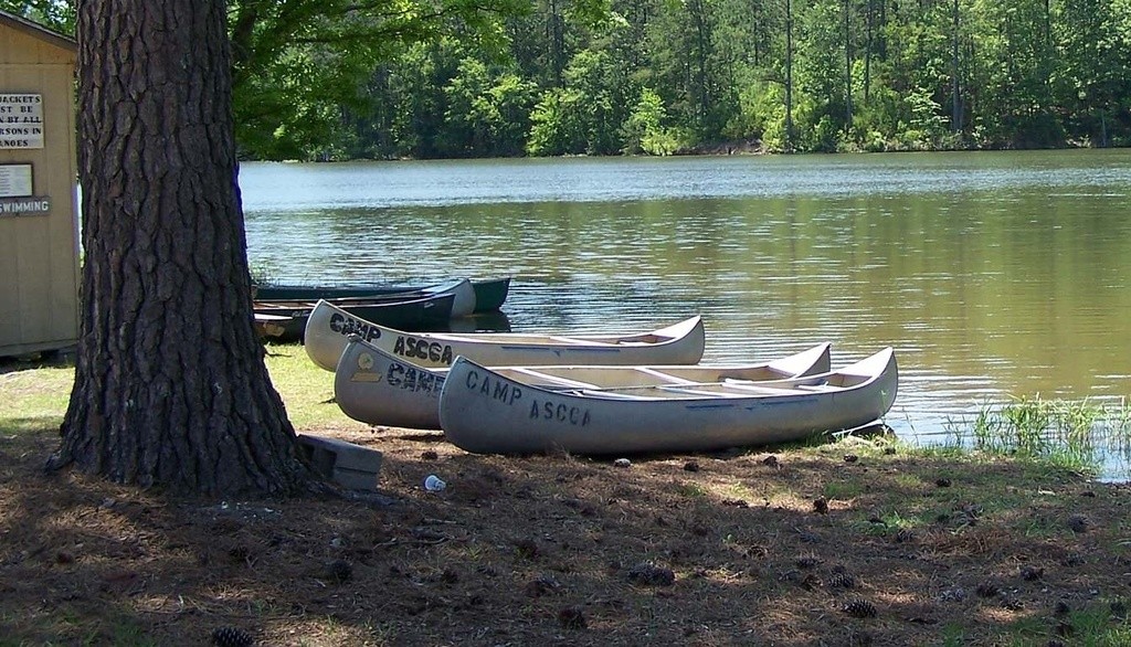 Camp ASCCA