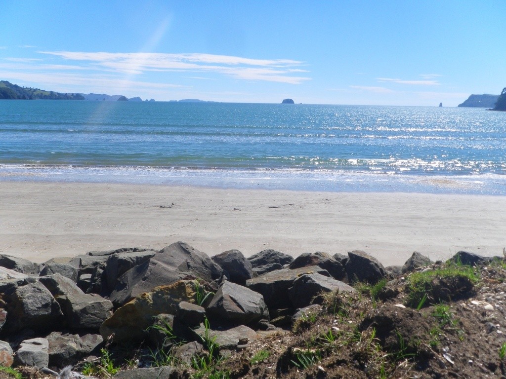 Buffalo Beach at Whitianga