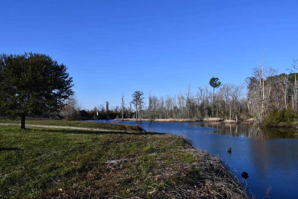 Archie Blue Community Park