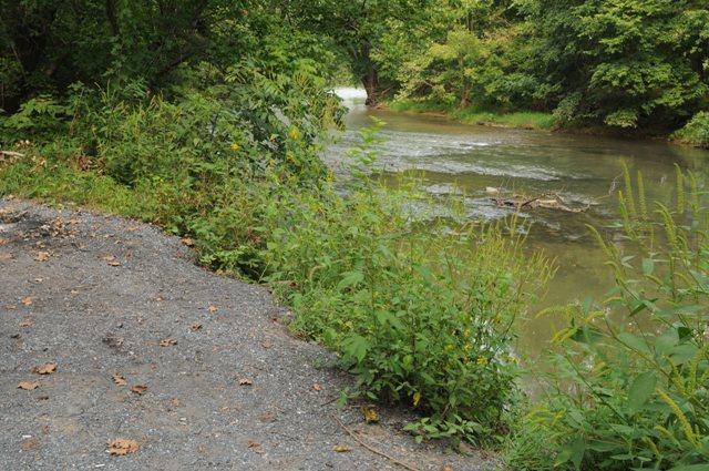 Middle River at Damtown