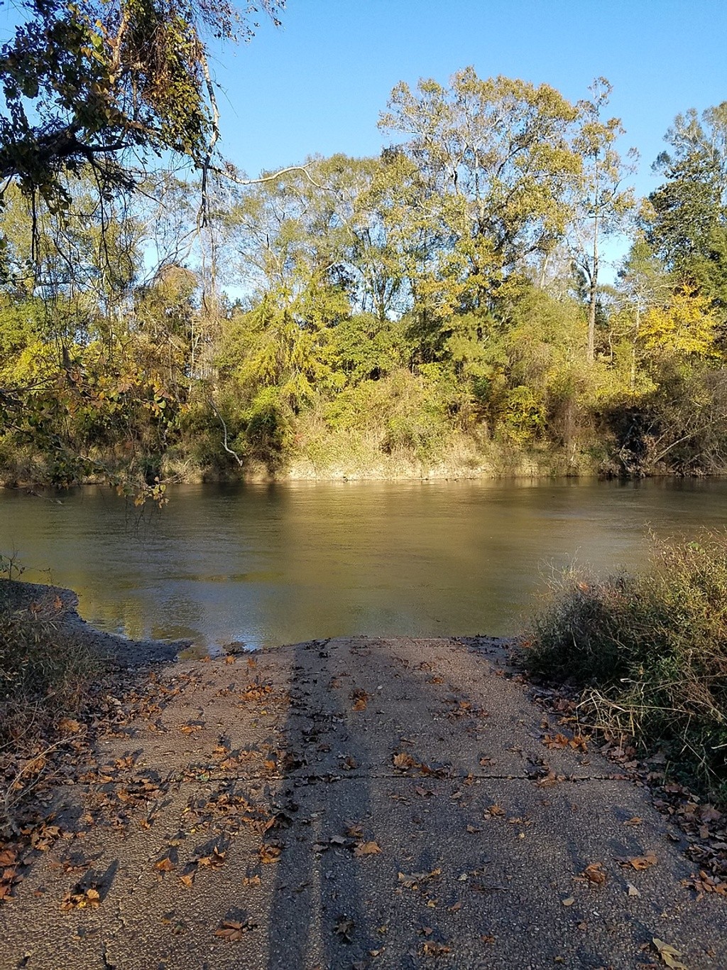 Bogue Chitto New River Rd Swim Guide