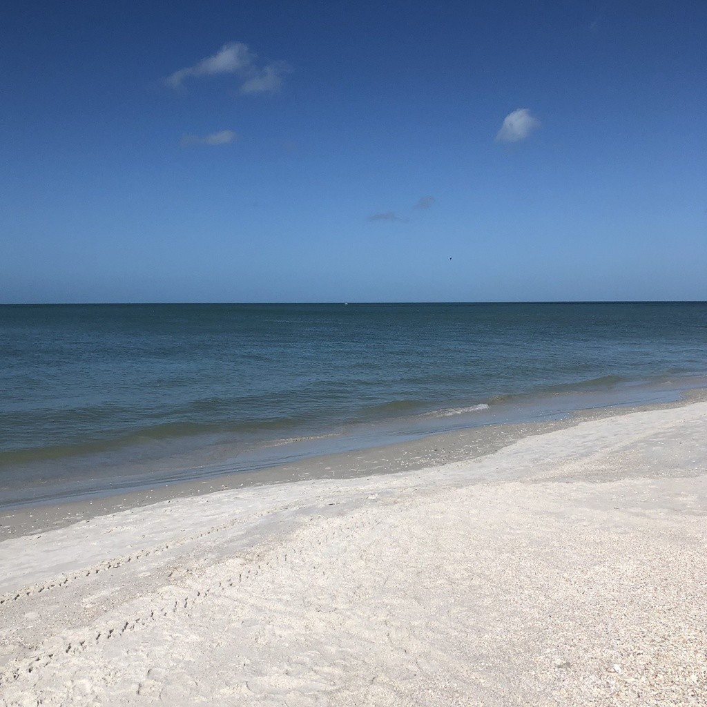 5th Ave Naples Beach