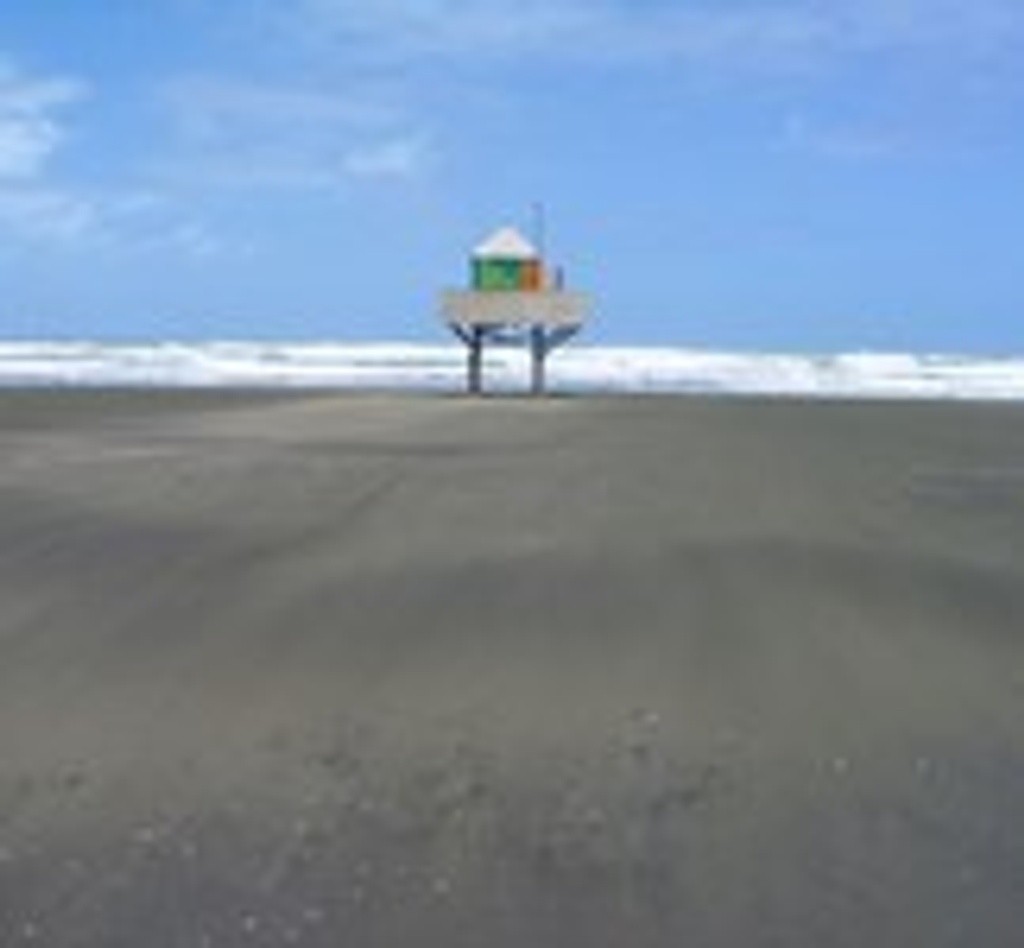 Bethells Beach