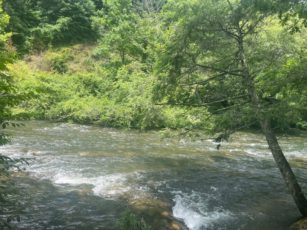 Upper Green Put-in Access